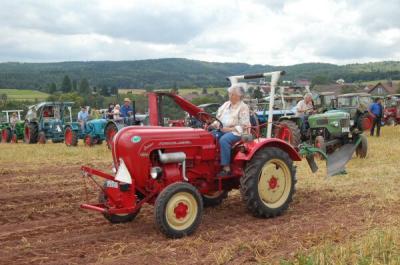 Foto des Albums: Feldtag 2009