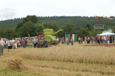 Foto des Albums: Feldtag 2009