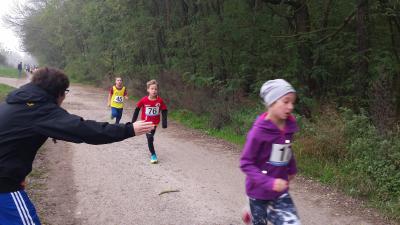 Foto des Albums: Schönower Herbstcross, 01.11.2014