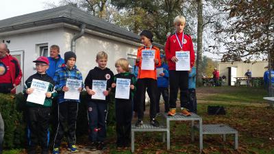 Foto des Albums: Schönower Herbstcross, 01.11.2014