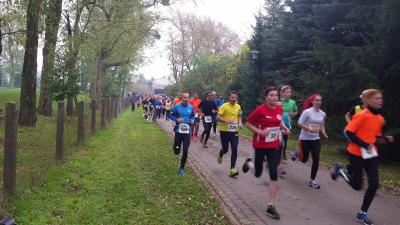 Foto des Albums: Schönower Herbstcross, 01.11.2014