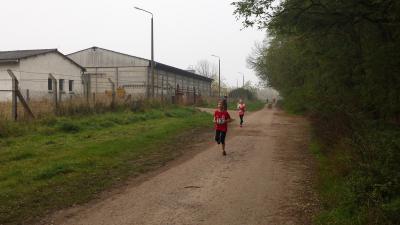 Foto des Albums: Schönower Herbstcross, 01.11.2014 (05.​11.​2014)