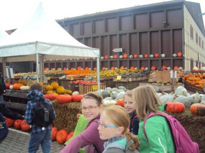Foto des Albums: Ausflug der Klasse 5a in den Kletterpark