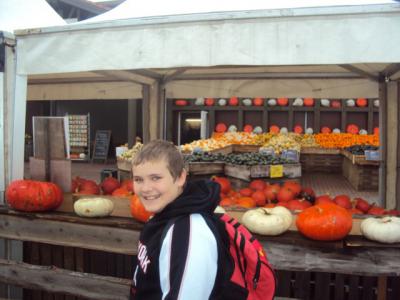Foto des Albums: Ausflug der Klasse 5a in den Kletterpark