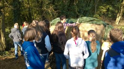 Foto des Albums: Ausflug der 6b zu Sigis Schafen