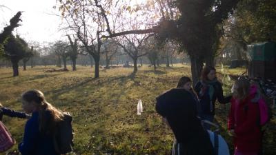 Foto des Albums: Ausflug der 6b zu Sigis Schafen