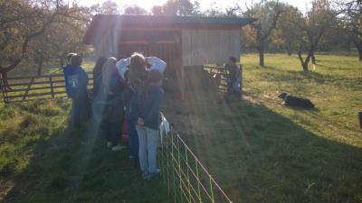 Foto des Albums: Ausflug der 6b zu Sigis Schafen