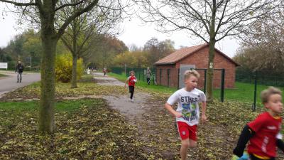 Foto des Albums: Cross-Kreismeisterschaften Prenzlau, 15.11.2014 (18.​11.​2014)