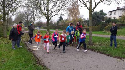 Foto des Albums: Cross-Kreismeisterschaften Prenzlau, 15.11.2014 (18.​11.​2014)