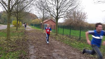 Foto des Albums: Cross-Kreismeisterschaften Prenzlau, 15.11.2014 (18.​11.​2014)
