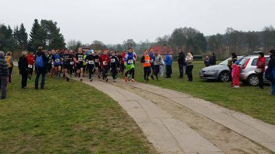 Foto des Albums: Jatznicker Waldlauf, 15.11.2014