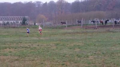 Foto des Albums: Jatznicker Waldlauf, 15.11.2014