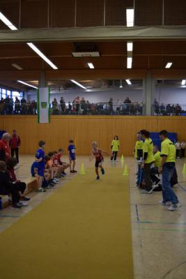 Foto des Albums: Hallen - Kreismeisterschaften Zepernick, 22.11.2014 (25.​11.​2014)