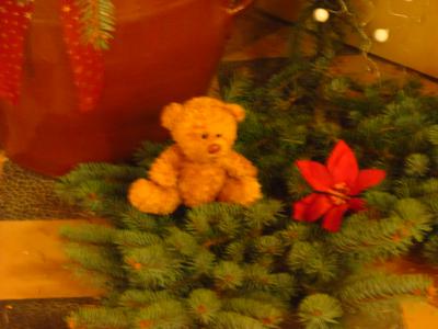 Foto des Albums: Teddys Teil 1