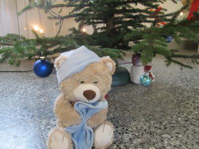 Foto des Albums: Teddys Teil 1