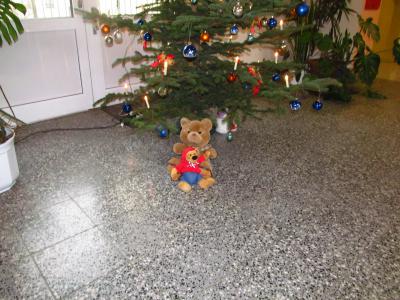 Foto des Albums: Teddys Teil 1