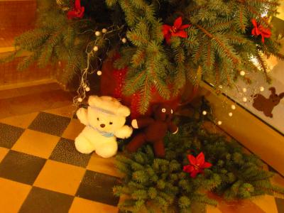 Foto des Albums: Teddys Teil 1