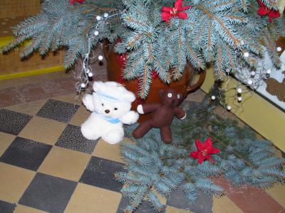 Foto des Albums: Teddys Teil 1