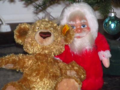 Foto des Albums: Teddys Teil 1