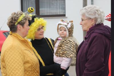 Foto des Albums: Karnevalumzug 2015