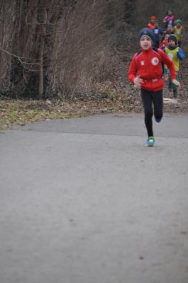 Foto des Albums: UDG - Cross in Prenzlau, 07.03.2015
