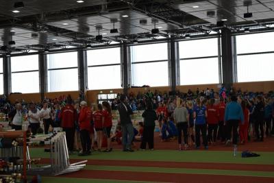Foto des Albums: LM Halle U 12/ U 14 Potsdam