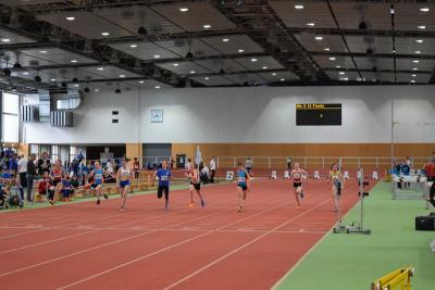 Foto des Albums: LM Halle U 12/ U 14 Potsdam