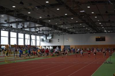 Foto des Albums: LM Halle U 12/ U 14 Potsdam