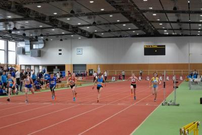 Foto des Albums: LM Halle U 12/ U 14 Potsdam