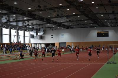 Foto des Albums: LM Halle U 12/ U 14 Potsdam