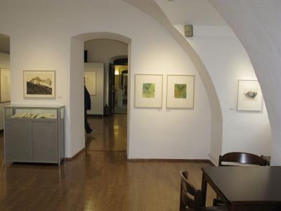 Foto des Albums: Ausstellung 