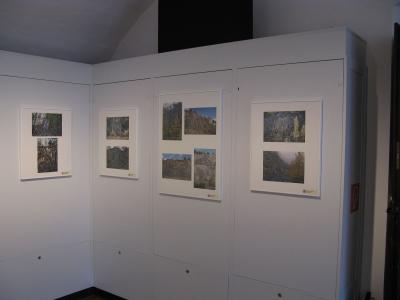 Foto des Albums: Ausstellung 