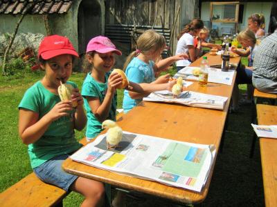 Foto des Albums: Rassegeflügelzuchtverein lud Ferienprogramm-Kinder zum Besuch ein