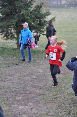 Foto des Albums: UDG - Cross in Jamikow, 21.03.2015 (24.​03.​2015)