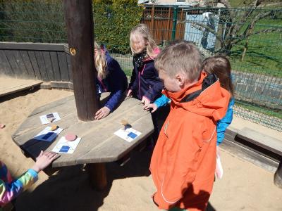 Foto des Albums: Energieprojekt Klasse 4