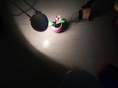 Foto des Albums: Energieprojekt Klasse 4