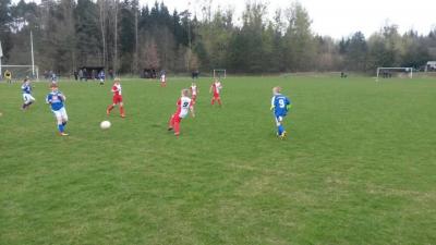 Foto des Albums: F-Jugend Turnier Milmersdorf
