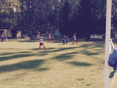 Foto des Albums: F-Jugend Turnier Milmersdorf