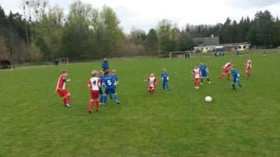 Foto des Albums: F-Jugend Turnier Milmersdorf
