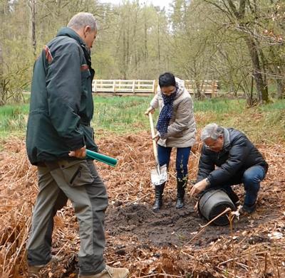 Foto des Albums: Revitalisierung des Rosebachtals (27. 04. 2015)