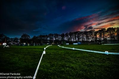 Foto des Albums: Fahrturnier Friesoythe 2015