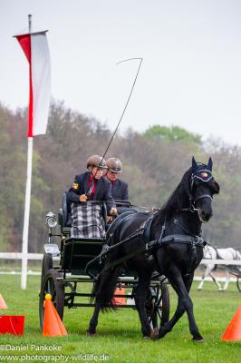 Foto des Albums: Fahrturnier Friesoythe 2015