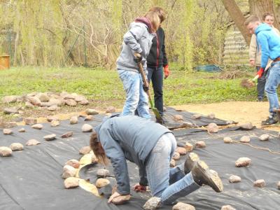 Foto des Albums: Projekt Schulgartengestaltung (29. 04. 2015)