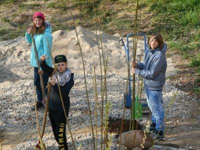 Foto des Albums: Projekt Schulgartengestaltung (29. 04. 2015)