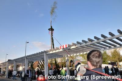 Foto des Albums: Der Maibaum steht