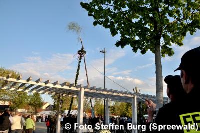 Foto des Albums: Der Maibaum steht