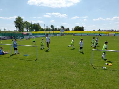 Foto des Albums: Fussballschule Rummenigge 2015 (4)