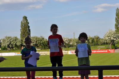 Foto des Albums: Abendsportfest Prenzlau, 19.05.2015 (28.​05.​2015)