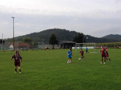 Fotoalbum E2-Jugend gewinnt 7:1 gegen SV Gotteszell 2