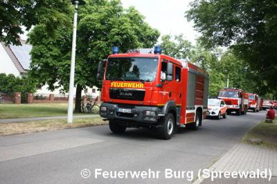 Festumzug 